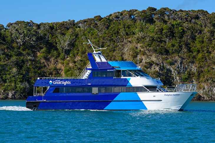 Dolphin Seeker Hole in the Rock vessel